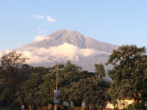 IMG_3944