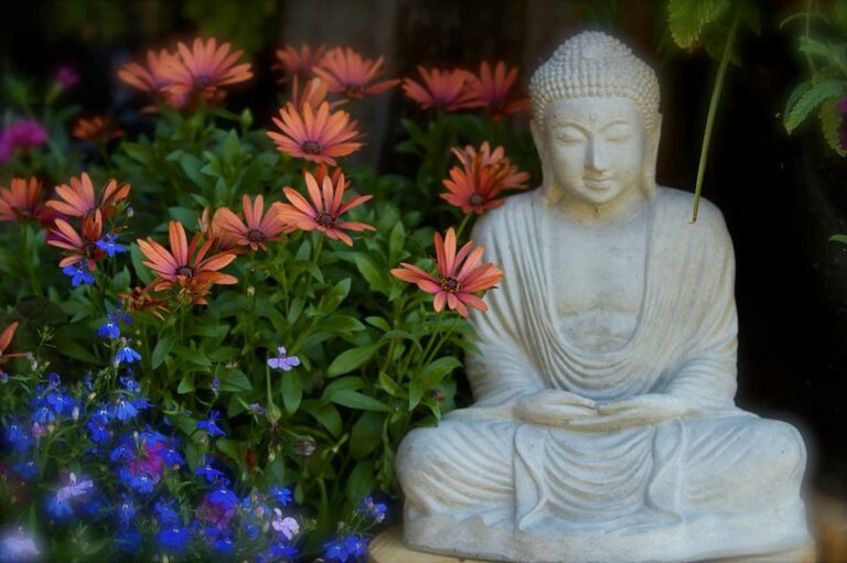 The Crystals & Curiosities Cabin at Akashic Ranch