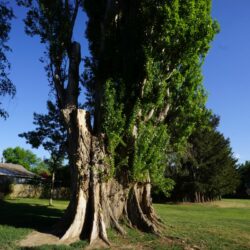 Brocklehurst Recreation Centre/Park 10