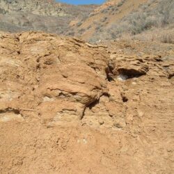 Cinnamon Ridge Hoodoos 11