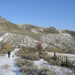Cinnamon Ridge Hoodoos