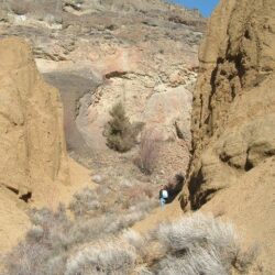 Cinnamon Ridge Hoodoos 27