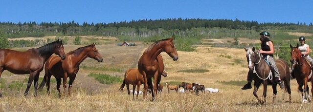 Jandana Ranch