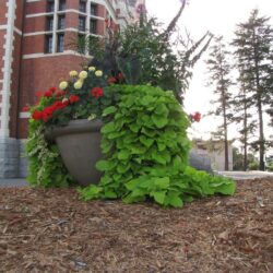 Kamloops Old Courthouse 16