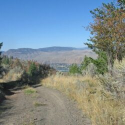 Kenna Cartwright Park 10