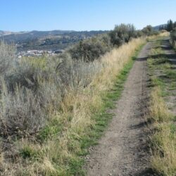 Kenna Cartwright Park 14