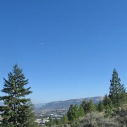 Kenna Cartwright Park 15