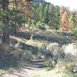 Kenna Cartwright Park 21