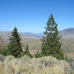 Kenna Cartwright Park 24