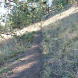 Kenna Cartwright Park 26