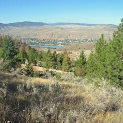 Kenna Cartwright Park 4