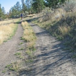 Kenna Cartwright Park 7