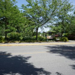 McArthur Island Park 13