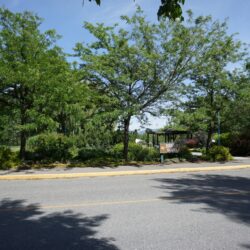 McArthur Island Park 14