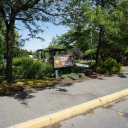 McArthur Island Park 15