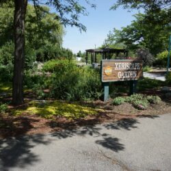 McArthur Island Park 16