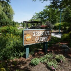 McArthur Island Park