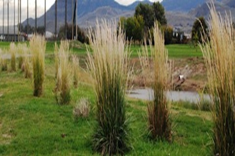 Mount Paul Golf Course