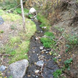 Peterson Creek Park 8