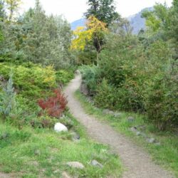 Peterson Creek Park 10