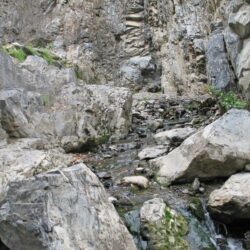 Peterson Creek Park 12