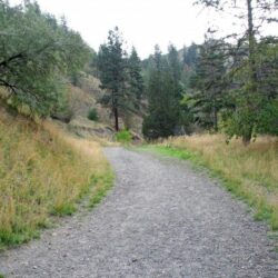 Peterson Creek Park 13