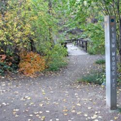 Peterson Creek Park 14