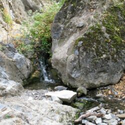 Peterson Creek Park 15