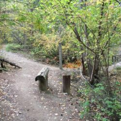 Peterson Creek Park 16