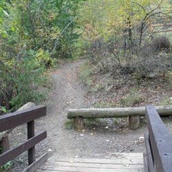 Peterson Creek Park 17