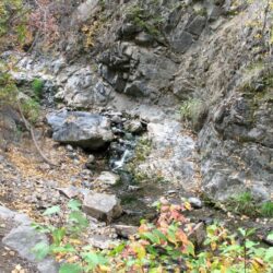 Peterson Creek Park 18