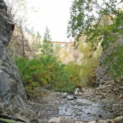 Peterson Creek Park 19