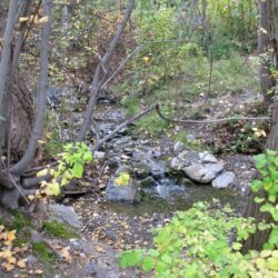 Peterson Creek Park 20