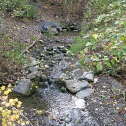 Peterson Creek Park 21