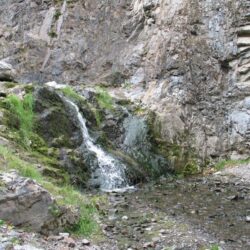 Peterson Creek Park 22