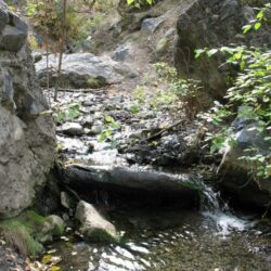 Peterson Creek Park 24