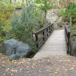 Peterson Creek Park 25