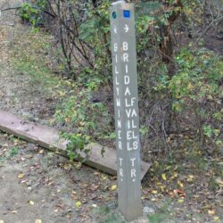 Peterson Creek Park 1