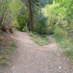 Peterson Creek Park 2