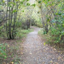 Peterson Creek Park 3