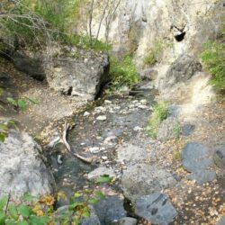 Peterson Creek Park 5