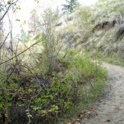 Peterson Creek Park 6