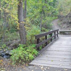 Peterson Creek Park 7
