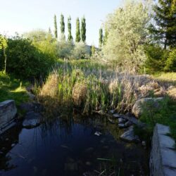 Pineview Valley Park 8