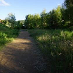 Pineview Valley Park 10