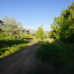 Pineview Valley Park 11