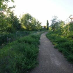 Pineview Valley Park 14