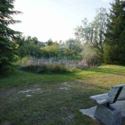 Pineview Valley Park 16