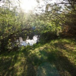 Pineview Valley Park 17