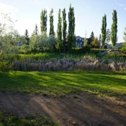 Pineview Valley Park 18